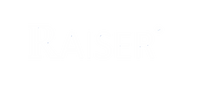 RAISER AUDITORES CONSULTORES